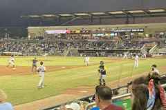 Blue-Wahoos-Playing-