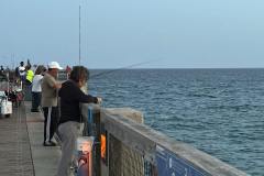 people-fishing-off-navarre-bridge