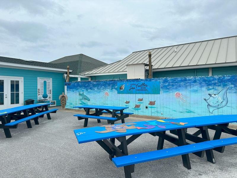 picnic-table-area-min