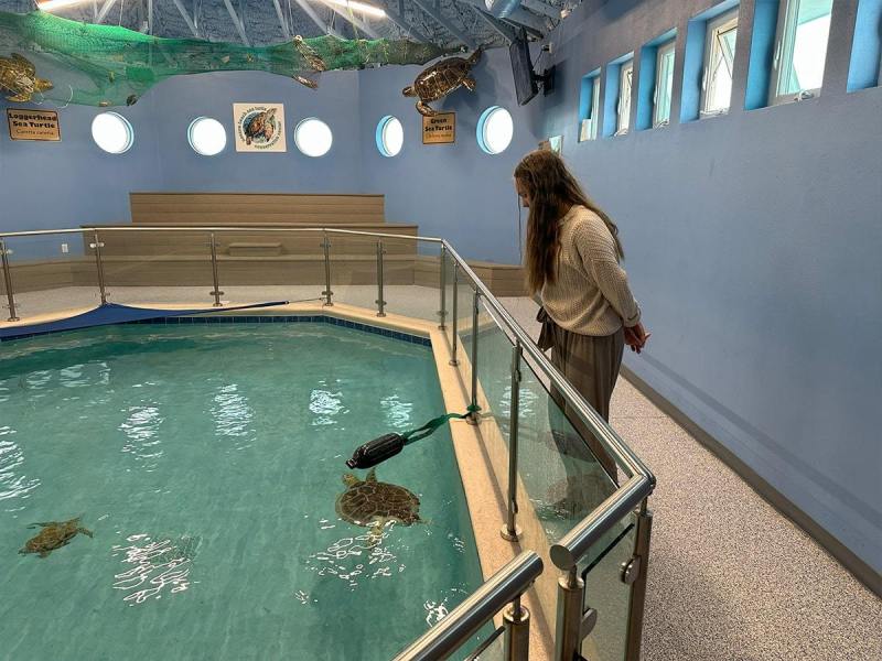 watching-sweet-pea-swim-min