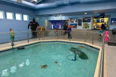 presentation-area-inside-navarre-beach-sea-turtle-conservation-min