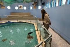 watching-sweet-pea-swim-min