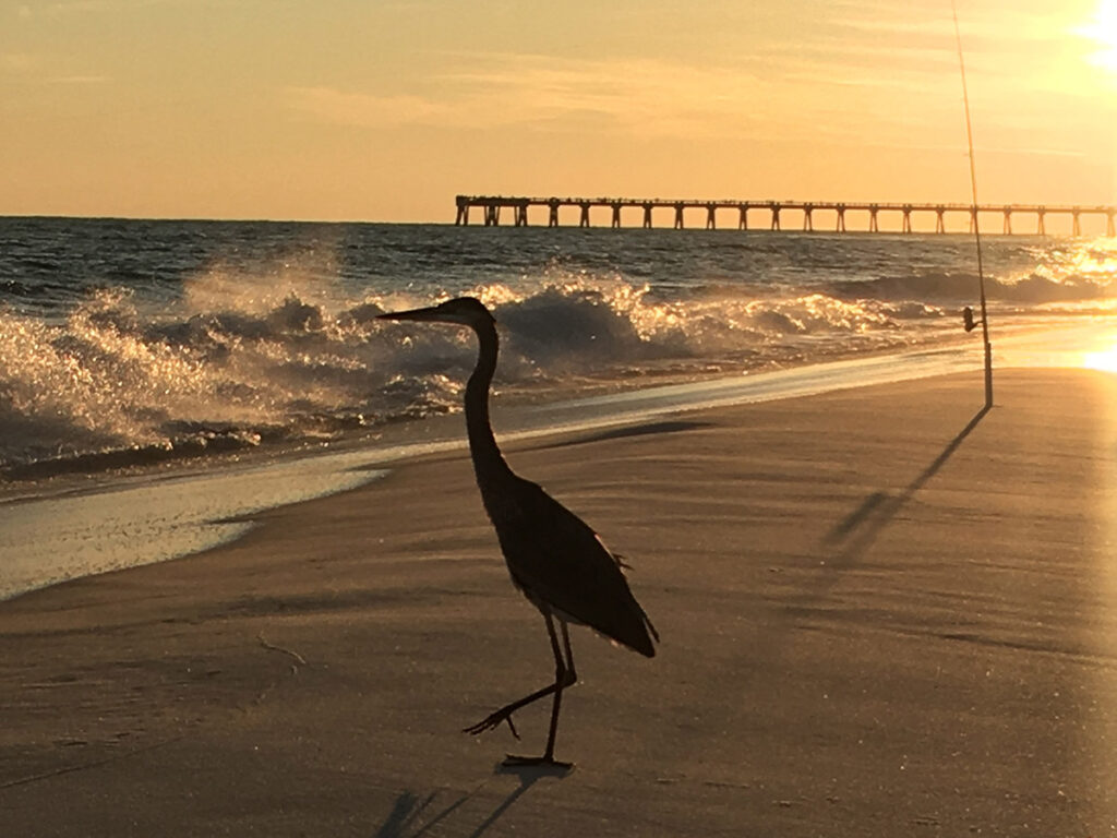 sunset on Navarre Beach looking at fishing rod and crane